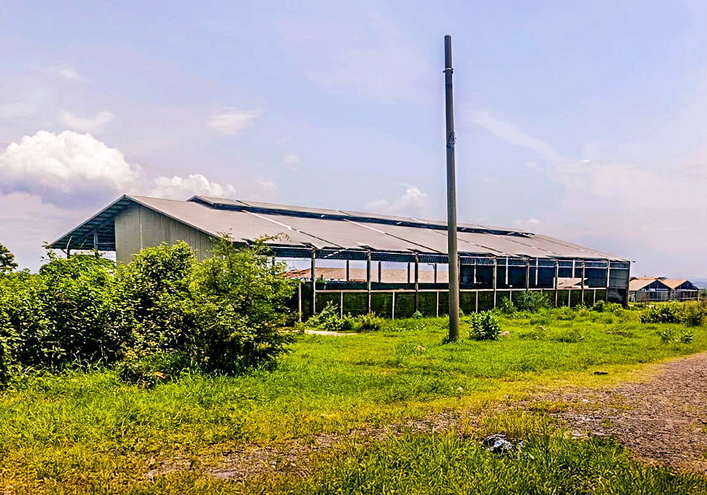 PABRIK DI KAB. PASURUAN NPL601-2 - foto 2